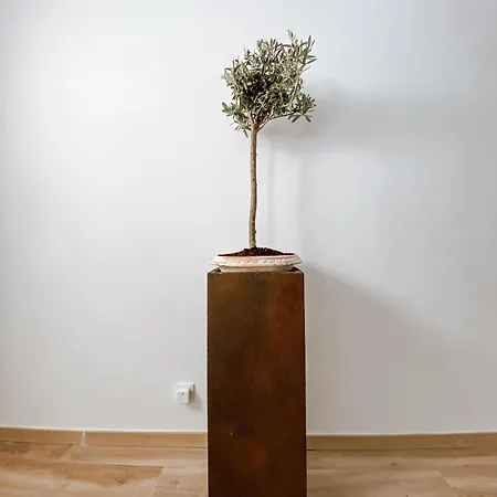 Casa Saloya - Historical Center Sintra